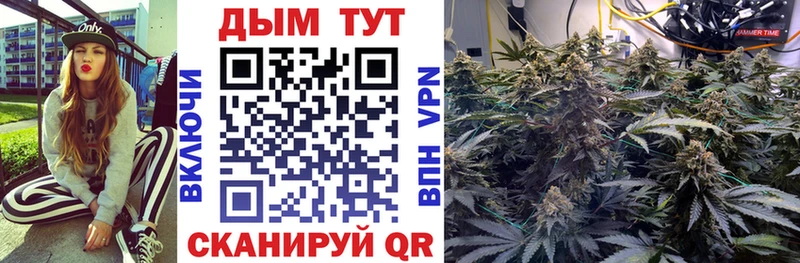 хочу наркоту  Холм  Каннабис семена 